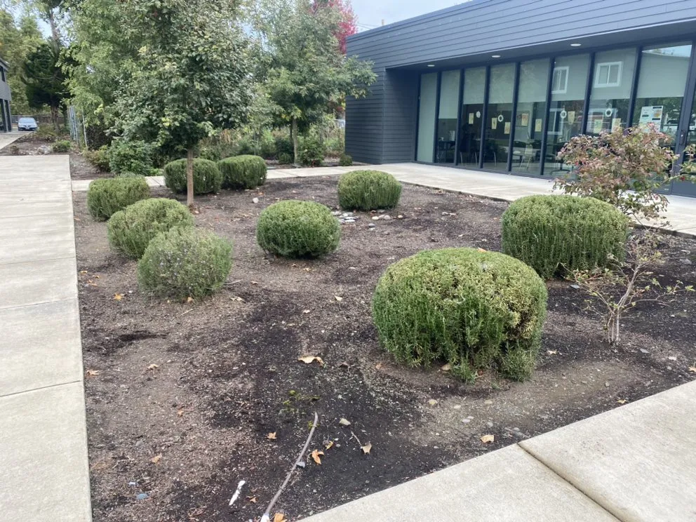 Local landscape design in Salem, OR by Mountain Landscape