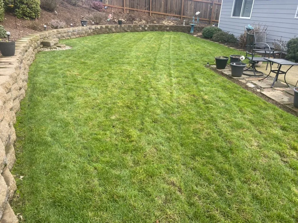 Top-rated garden landscaping experts serving Salem, OR - Mountain Landscape