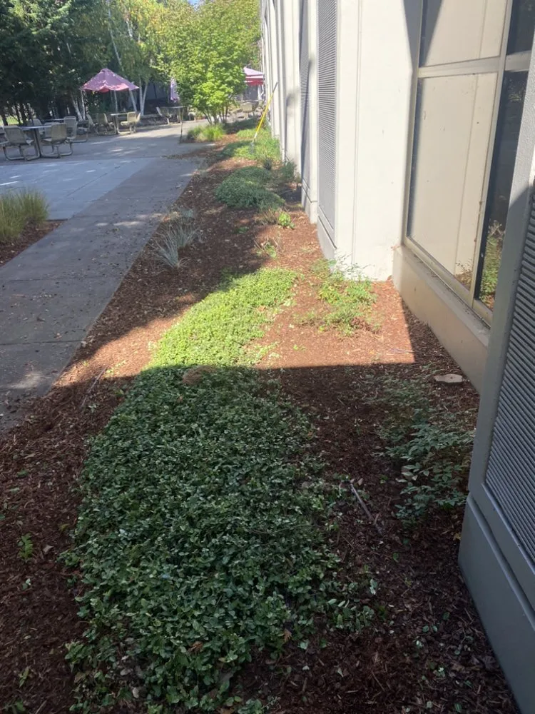 Expert landscape design for homes in Salem, OR by Mountain Landscape