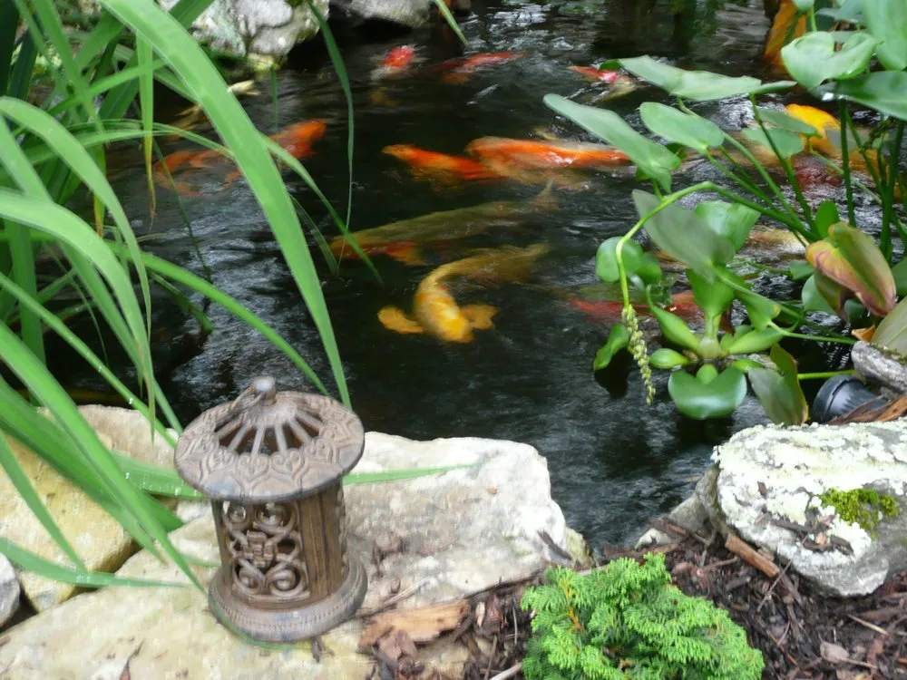 Professional landscape design for residential properties across Swannanoa, NC - Mountain Landscapes