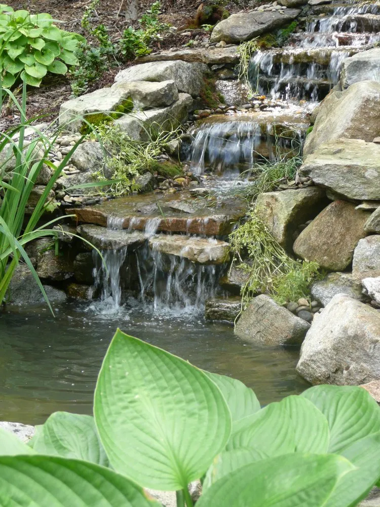 Local residential landscaping experts serving Swannanoa, NC - Mountain Landscapes
