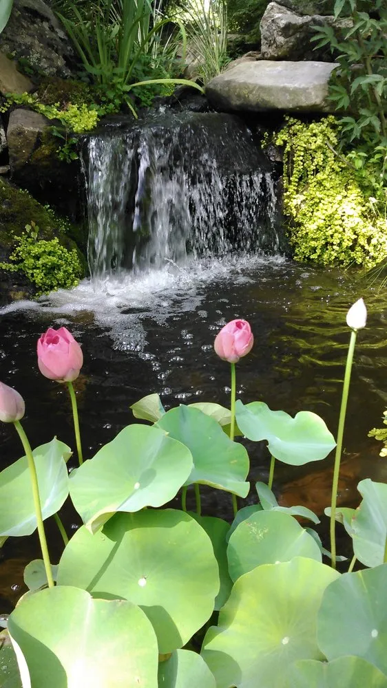 Local yard cleanup service with custom design in Swannanoa, NC by Mountain Landscapes