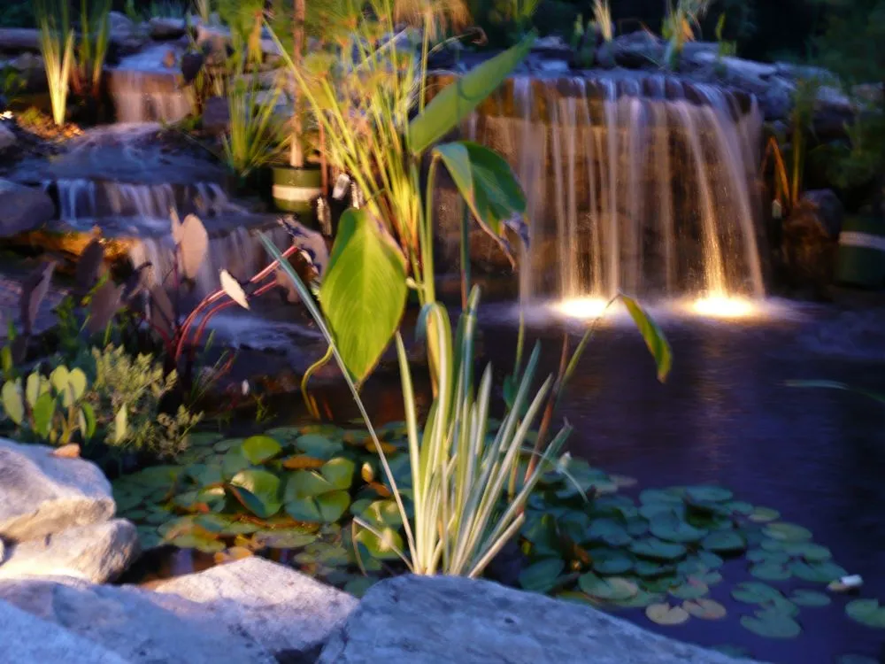 Affordable residential landscaping experts serving Swannanoa, NC - Mountain Landscapes