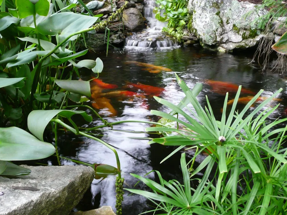 Custom lawn mowing service in Swannanoa, NC by Mountain Landscapes