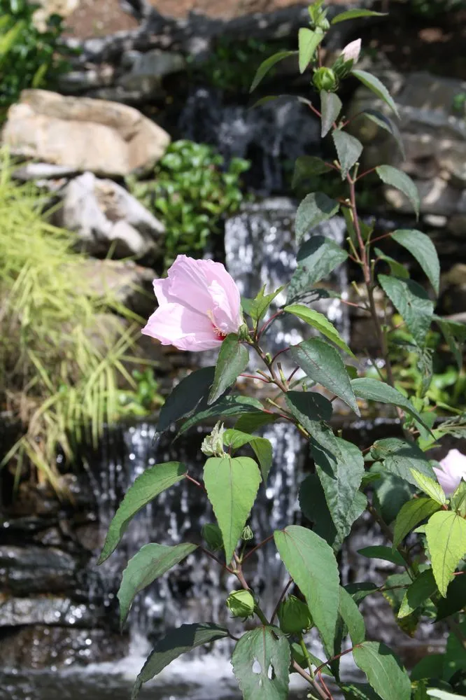 Trusted lawn mowing service experts serving Swannanoa, NC - Mountain Landscapes