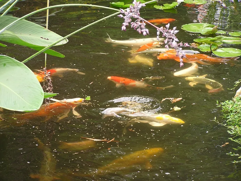 Expert landscaping services in Swannanoa, NC - Mountain Landscapes