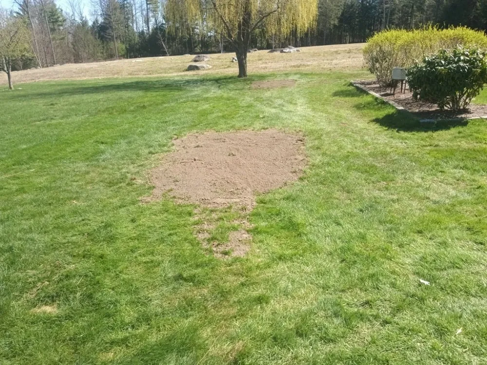 Expert yard cleanup service for residential properties across Winchester, NH - Mountain Lawn And Snow