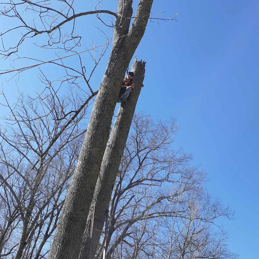 Affordable yard cleanup service in Bristol, TN by Mountain Lawn Care and Tree Service