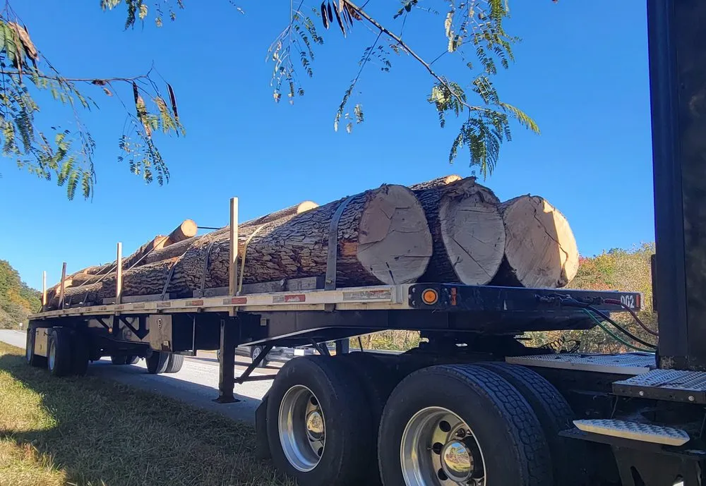 Local outdoor landscaping experts serving Bristol, TN - Mountain Lawn Care and Tree Service