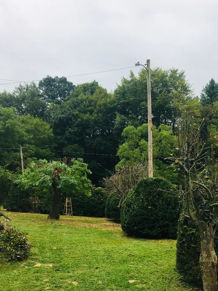 Top-rated landscaping services experts serving Newland, NC - Mountain Lawn Care