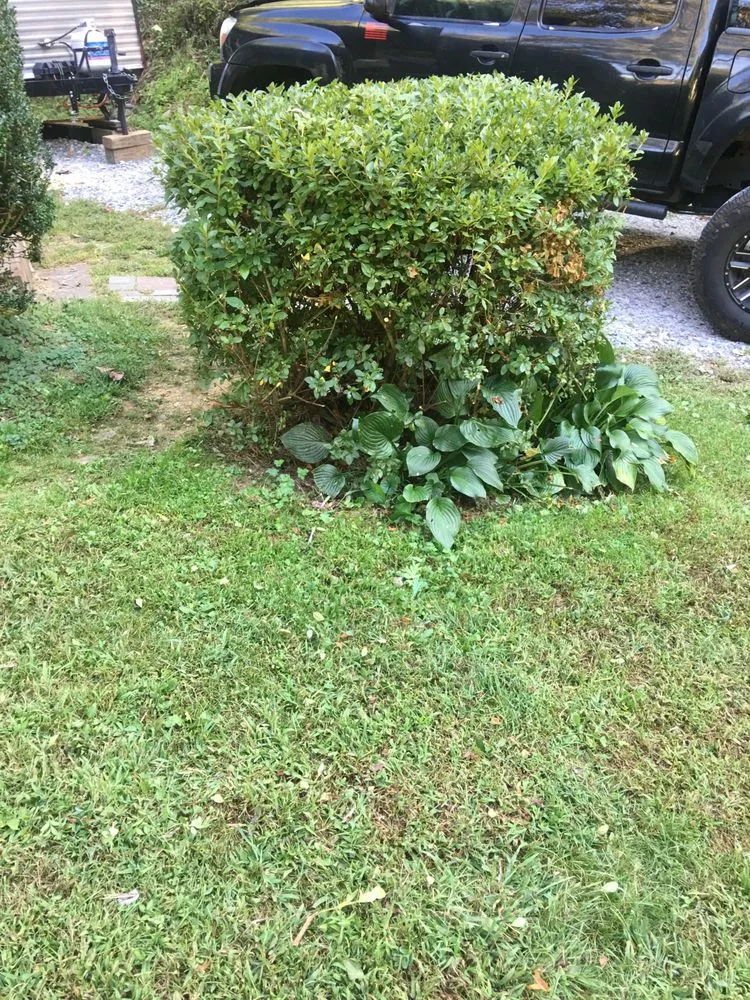 Trusted outdoor landscaping in Newland, NC by Mountain Lawn Care