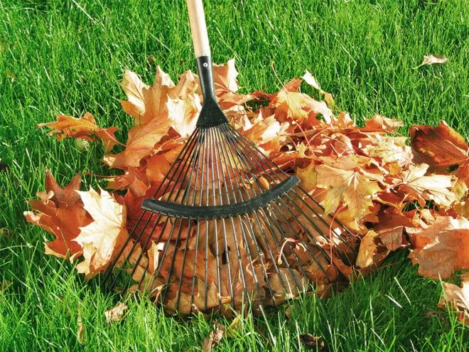 Local yard cleanup service with custom design across Newland, NC - Mountain Lawn Care