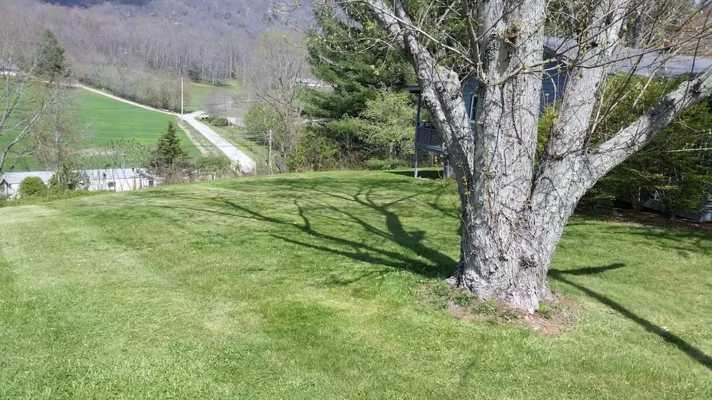 Trusted outdoor landscaping for homes across Whittier, NC - Mountain Lawn Maintenance