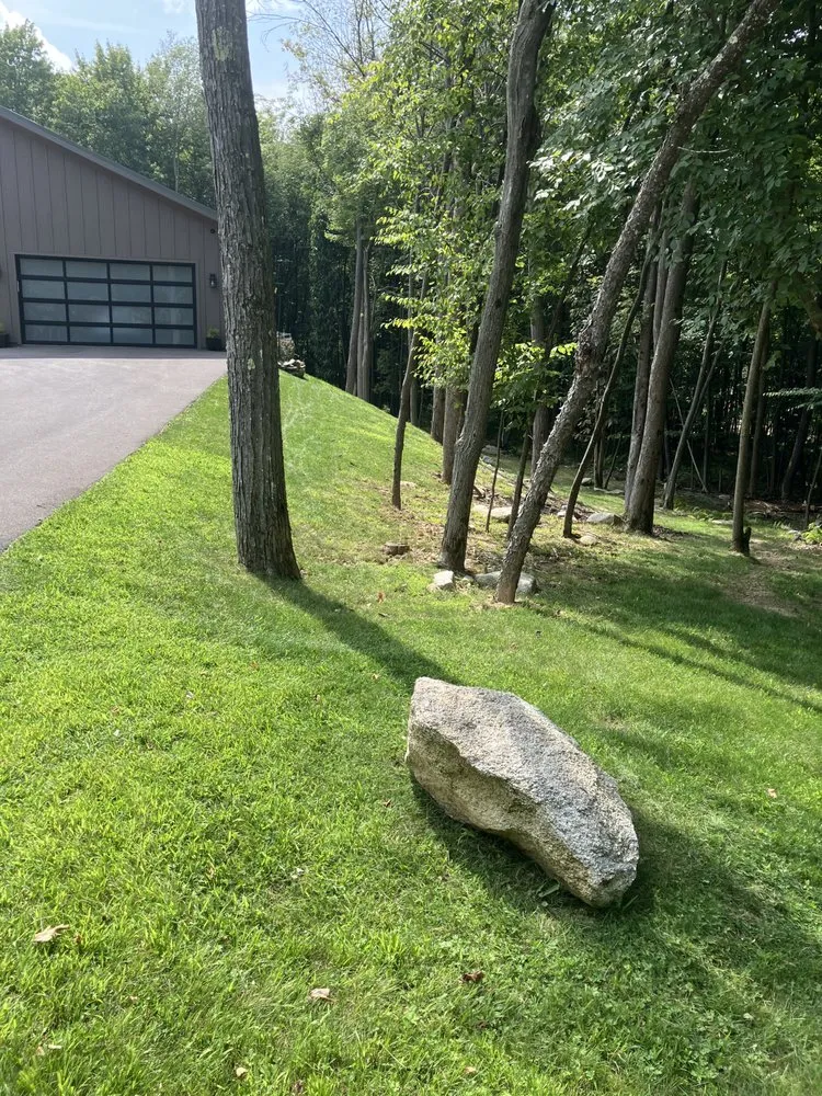 Local yard cleanup service near you across Oakland, MD - Mountain Lawn