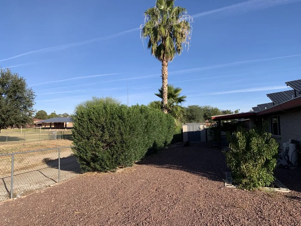 Top-rated garden landscaping in Tucson, AZ - Mountain Lion Landscape And Design