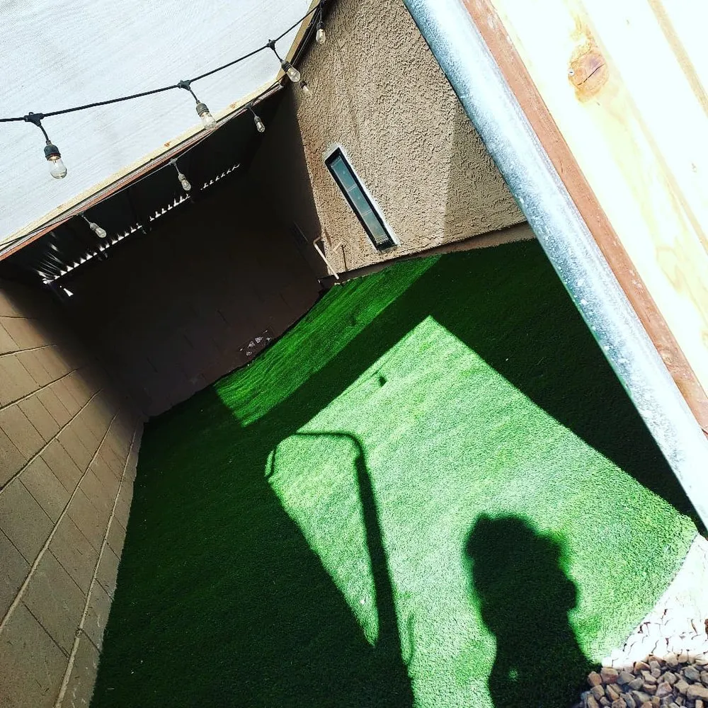 Trusted yard maintenance in Tucson, AZ by Mountain Lion Landscape And Design