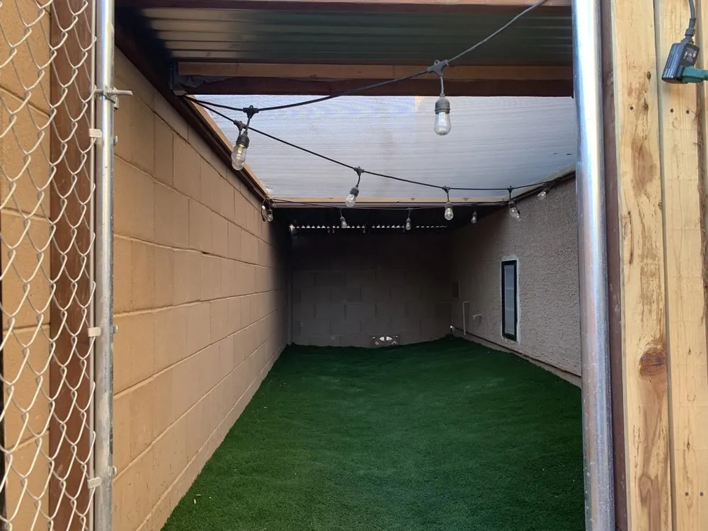 Affordable landscaping services in Tucson, AZ by Mountain Lion Landscape And Design