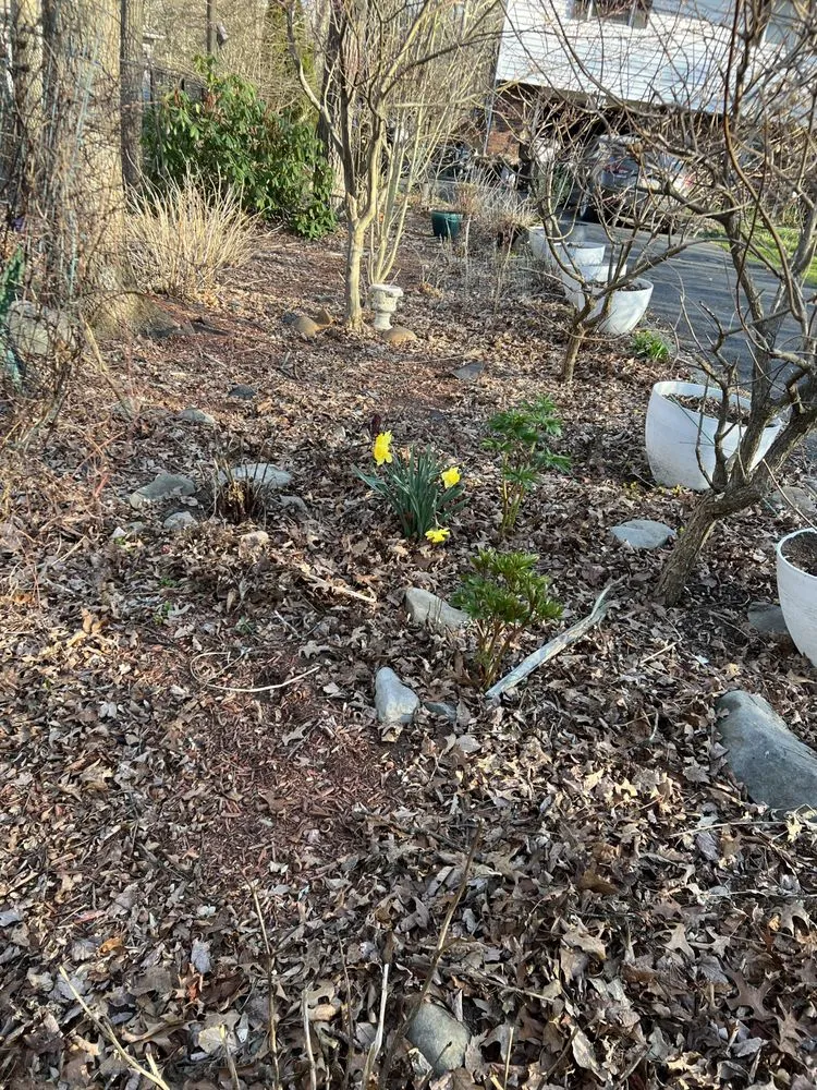 Trusted outdoor landscaping in Bushkill, PA by Mountain Maintenace & Renovations