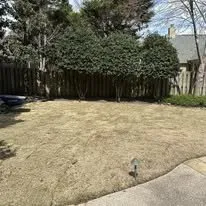 Affordable yard cleanup service experts serving Olive Branch, MS - Mountain Man Lawn Care