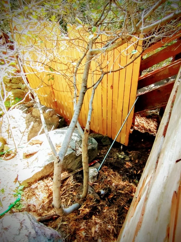 Trusted landscape installation in Moreno Valley, CA by Mountain Man Maintenance