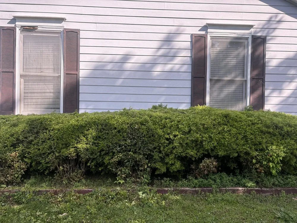 Professional residential landscaping in Shelby, NC by Mountain Man