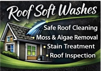 Custom yard cleanup service in Shelby, NC - Mountain Man