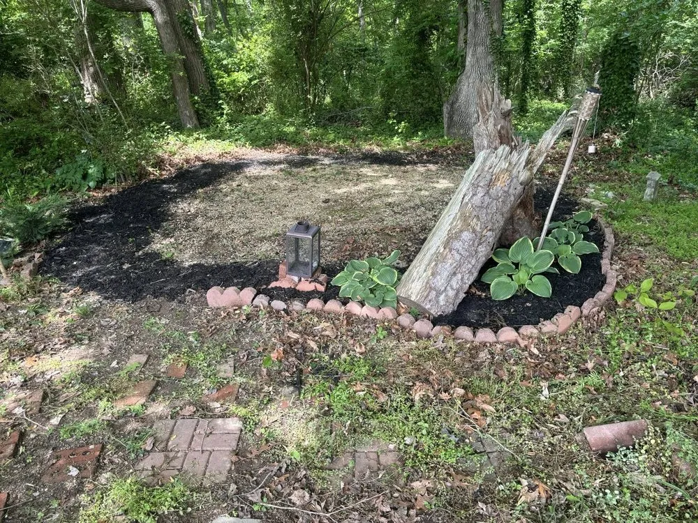 Professional lawn mowing service for homes in Shelby, NC by Mountain Man