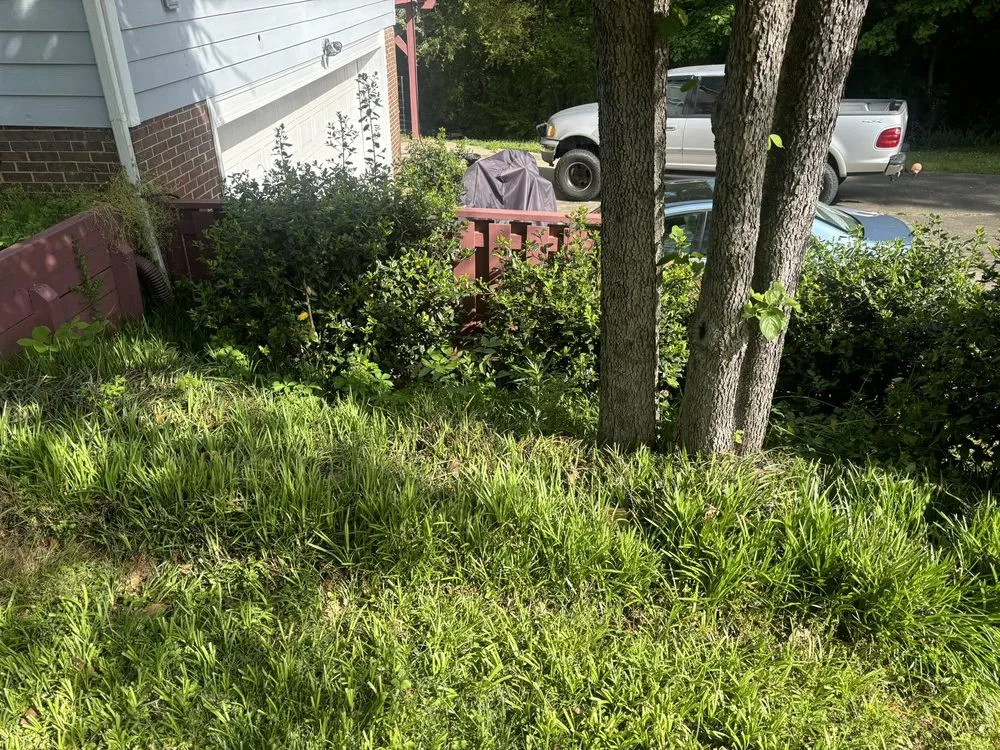 Top-rated garden landscaping in Shelby, NC - Mountain Man