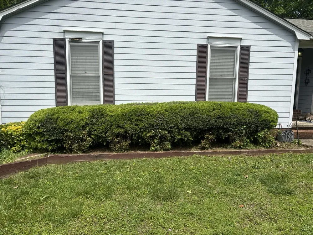 Professional landscaping services in Shelby, NC by Mountain Man