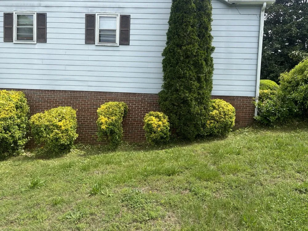 Trusted yard cleanup service in Shelby, NC by Mountain Man