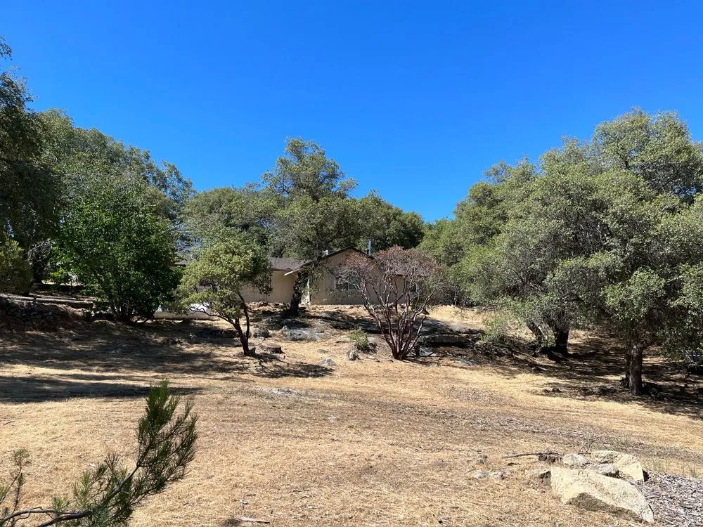 Trusted lawn care service in Fresno, CA by Mountain Management