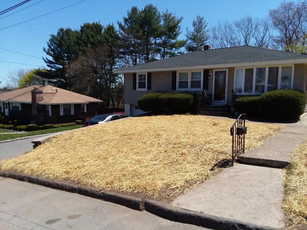 Affordable landscaping services in Dorchester, NH - Mountain Men Services