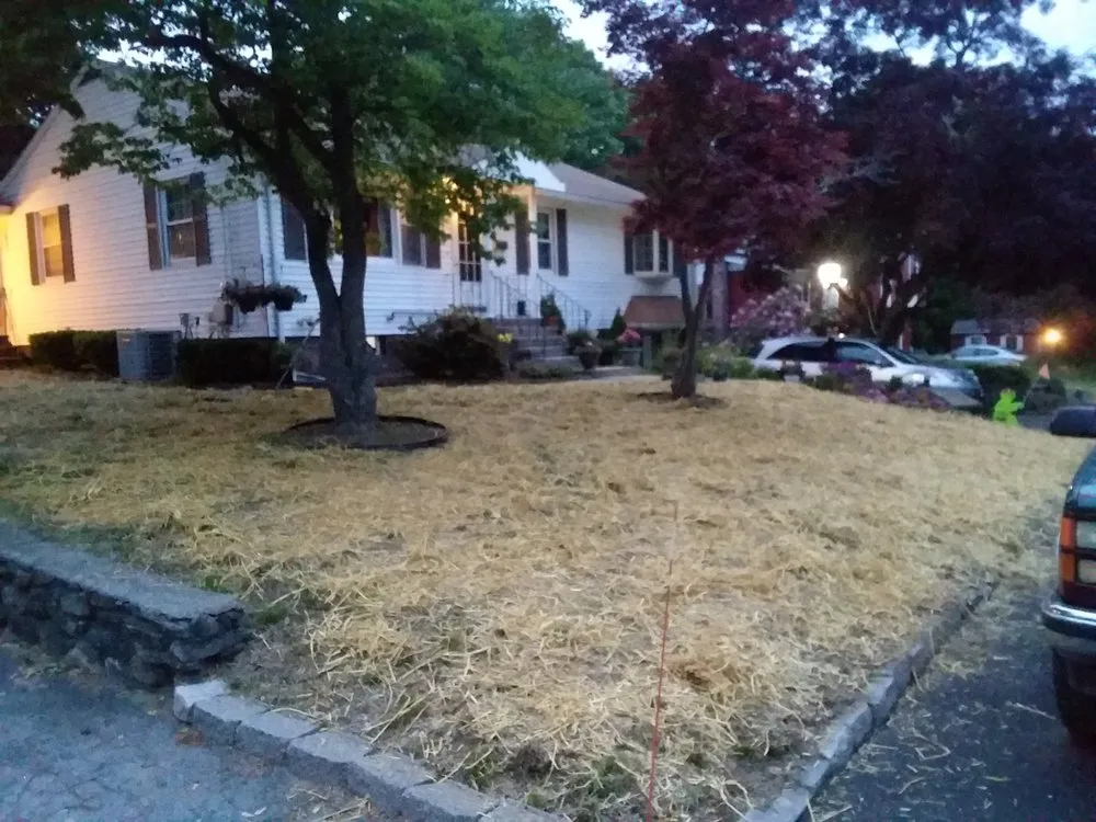Affordable yard maintenance near you in Dorchester, NH by Mountain Men Services