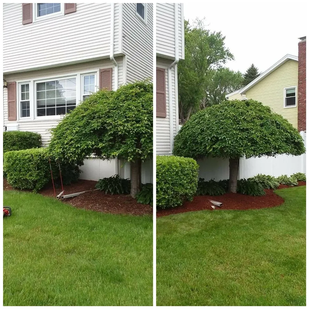 Expert lawn care service experts serving Dorchester, NH - Mountain Men Services