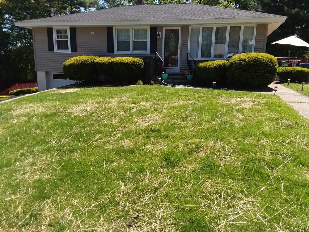 Expert landscape design in Dorchester, NH by Mountain Men Services