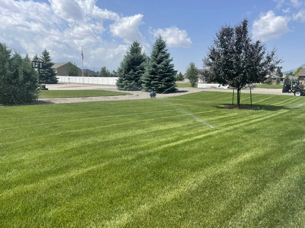 Affordable landscaping services for homes in Cody, WY by Mountain Mist Sprinkler & Landscaping