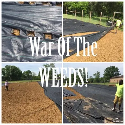 Mountain Movers Logo