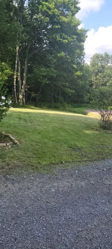 Reliable yard maintenance in Oakland, MD - Mountain Movers Freelancing