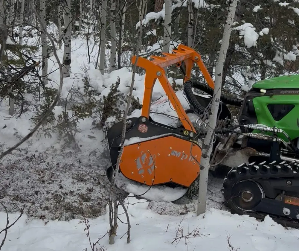 Trusted yard cleanup service for year-round maintenance across Superior, CO - Mountain Mulchers