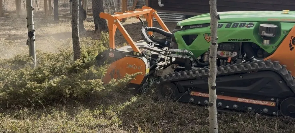 Expert yard cleanup service experts serving Superior, CO - Mountain Mulchers