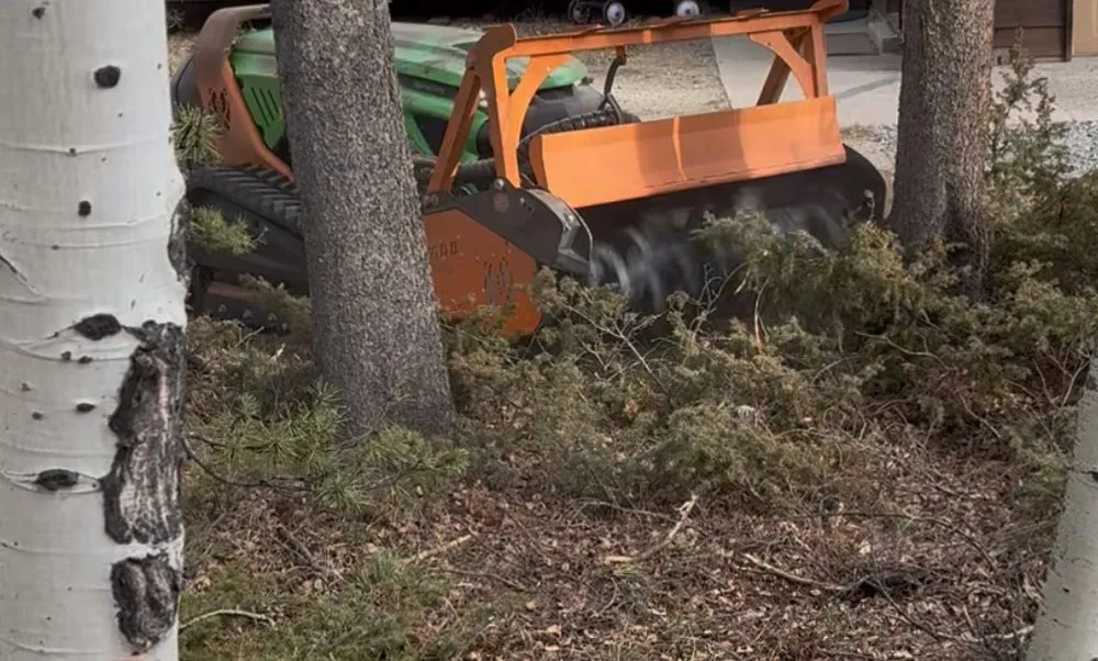 Custom outdoor landscaping for residential properties across Superior, CO - Mountain Mulchers