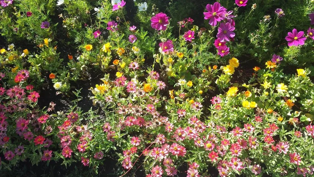 Professional landscape installation in Avon, CO - Mountain Organic Landscaping & Irrigation