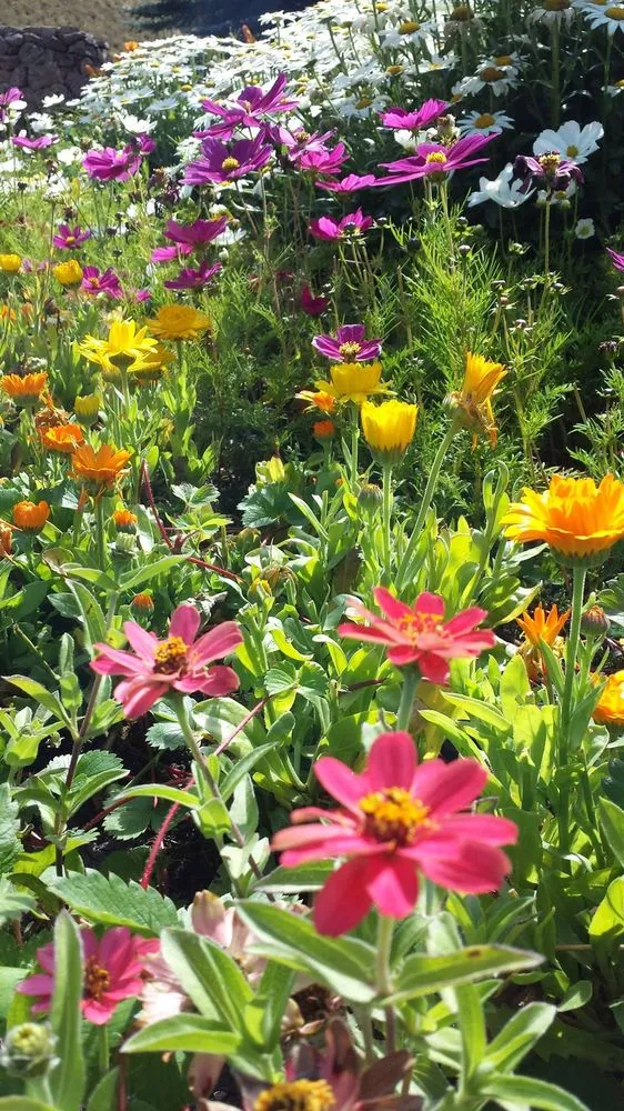 Top-rated outdoor landscaping experts serving Avon, CO - Mountain Organic Landscaping & Irrigation