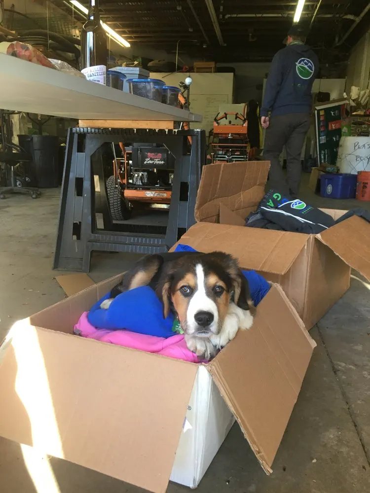 Affordable yard maintenance for residential properties in Avon, CO by Mountain Organic Landscaping & Irrigation