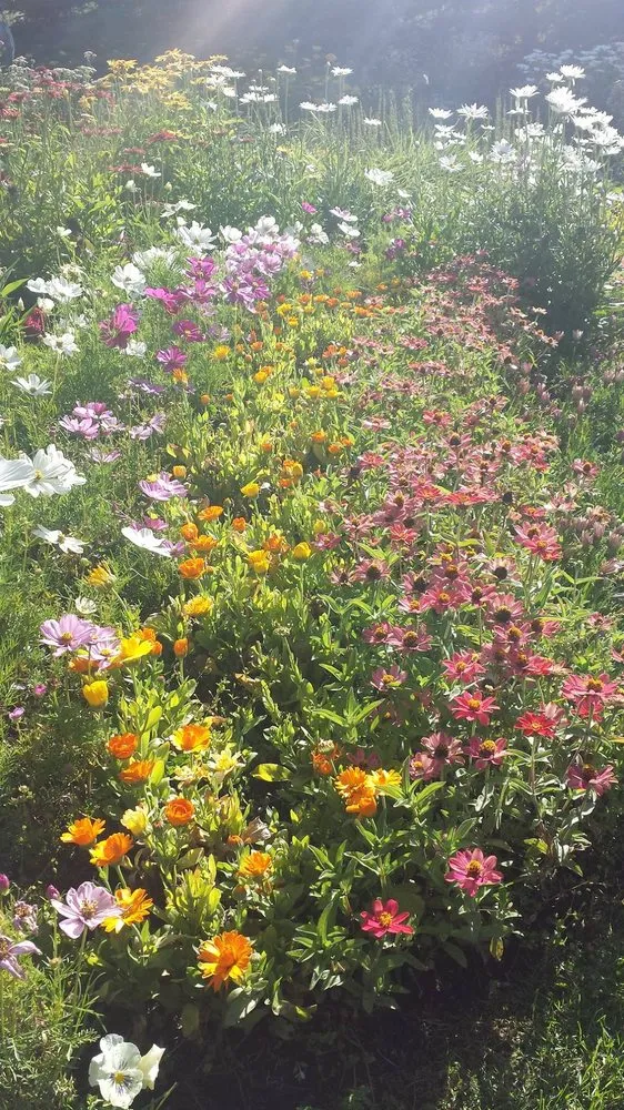 Trusted landscape design near you in Avon, CO by Mountain Organic Landscaping & Irrigation