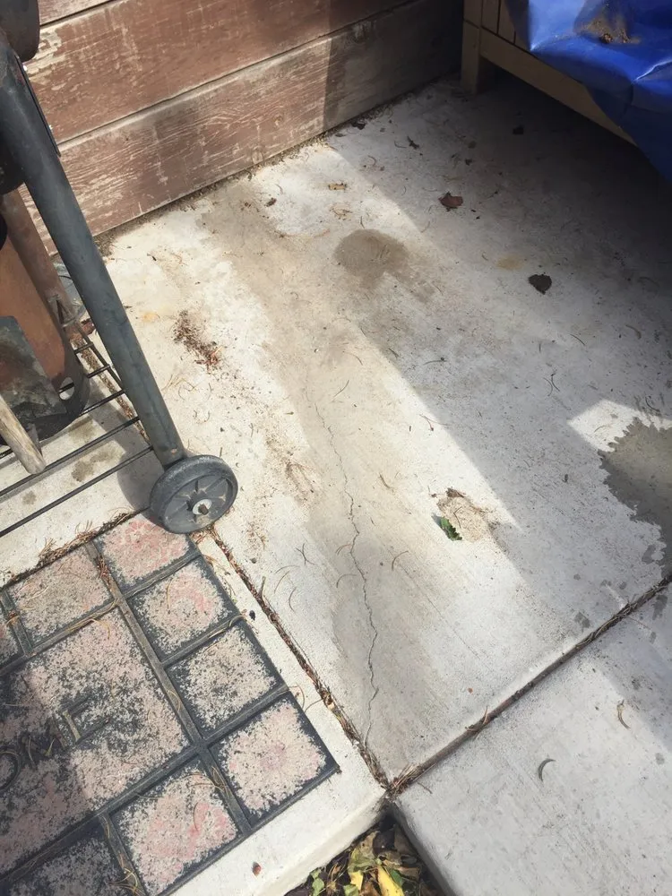 Professional landscape design for year-round maintenance across Rio Rancho, NM - Mountain Paradise Landscaping