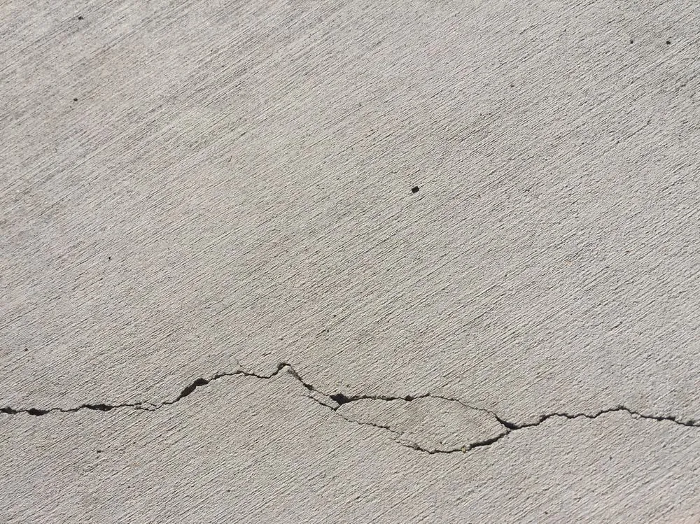 Custom yard cleanup service for outdoor upgrades in Rio Rancho, NM by Mountain Paradise Landscaping