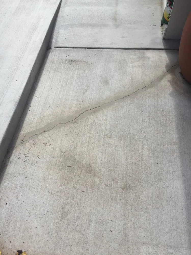 Expert yard cleanup service in Rio Rancho, NM by Mountain Paradise Landscaping