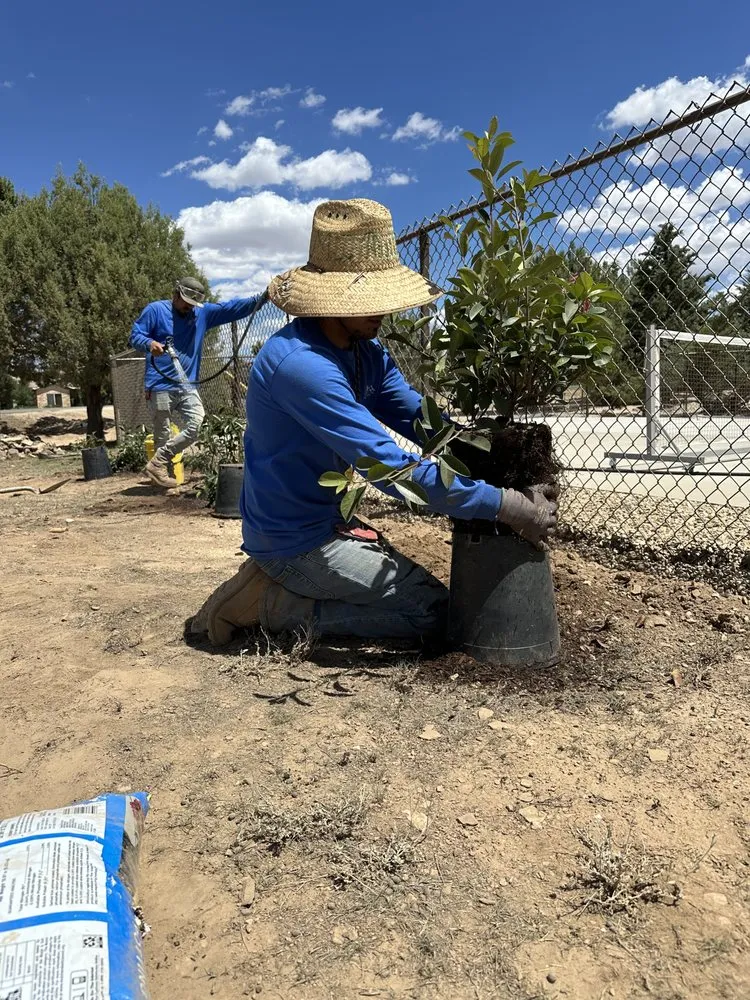 Reliable lawn mowing service with custom design in Prescott Valley, AZ by Mountain Paving