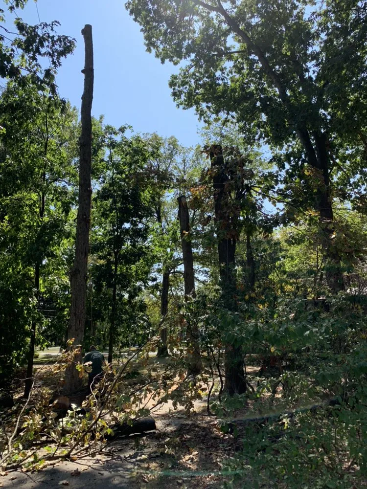 Expert landscaping services experts serving MONTGOMRY VLG, MD - Mountain Peak Landscaping